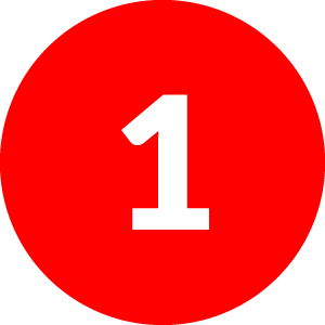 icon1 icon1